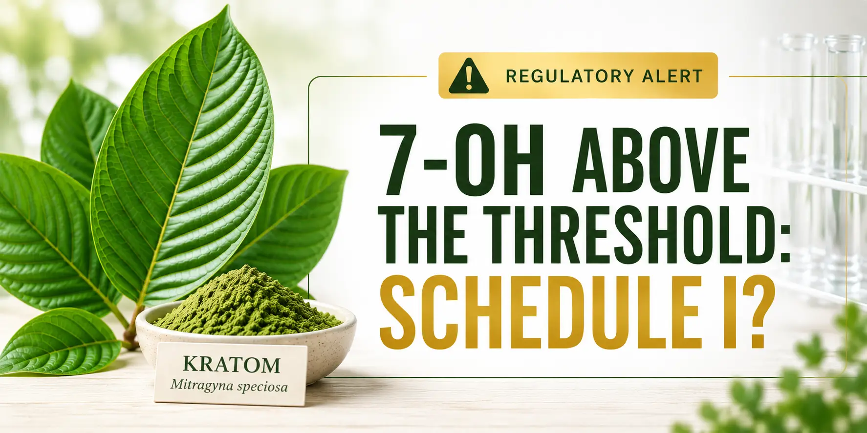 Kratom leaves beside a concentrated 7-hydroxymitragynine tablet, illustrating how enriched 7-OH products became the focus of a federal Schedule I action.